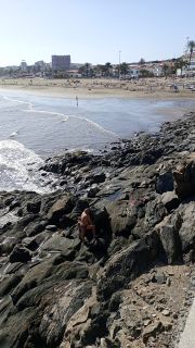 GC-Playa de Las Burras 2026-09.jpg